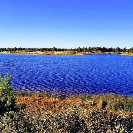 6 Person In Oksbøl